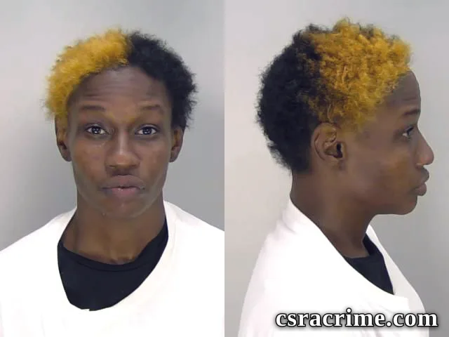 Chelsea Hill booking photo