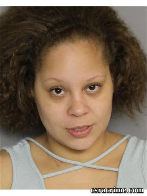 Chelsea Janes booking photo