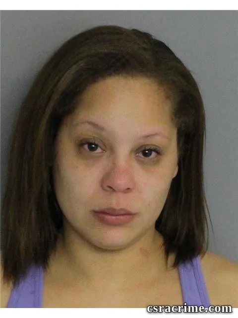 Chelsea Janes booking photo
