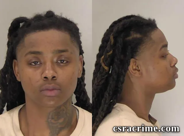Chelsea Maultsby booking photo