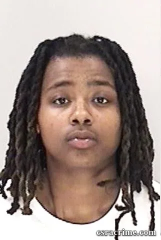Chelsea Maultsby booking photo