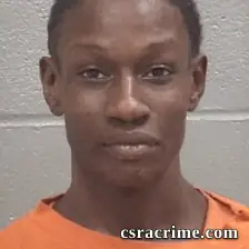 Chelsea Shamaya Hill booking photo