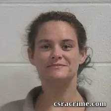Chelsey Helen Dixon booking photo