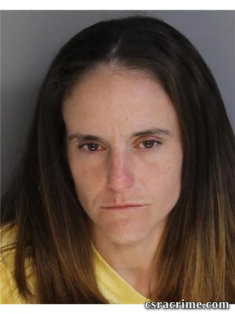 Chelsie Bodie booking photo