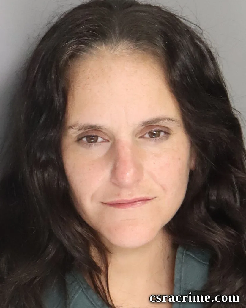 Chelsie Bodie booking photo