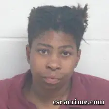 Cheryl Lynn Brown Gundy booking photo