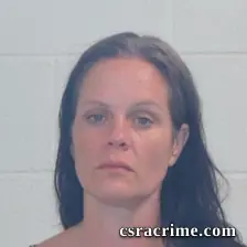 Cheryl Lynn Casto booking photo