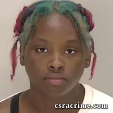 Chiman Denise Wesley booking photo
