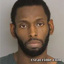 Chris Brown booking photo