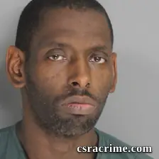 Chris Brown booking photo
