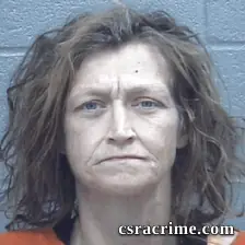 Chrisilee Barton booking photo