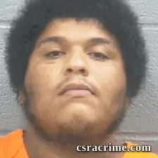 Christian Ervin booking photo