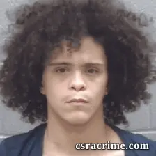 Christian Georgia booking photo