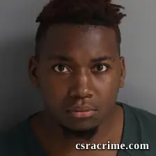 Christian Reedy booking photo
