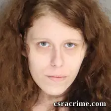 Christian Vollmer booking photo