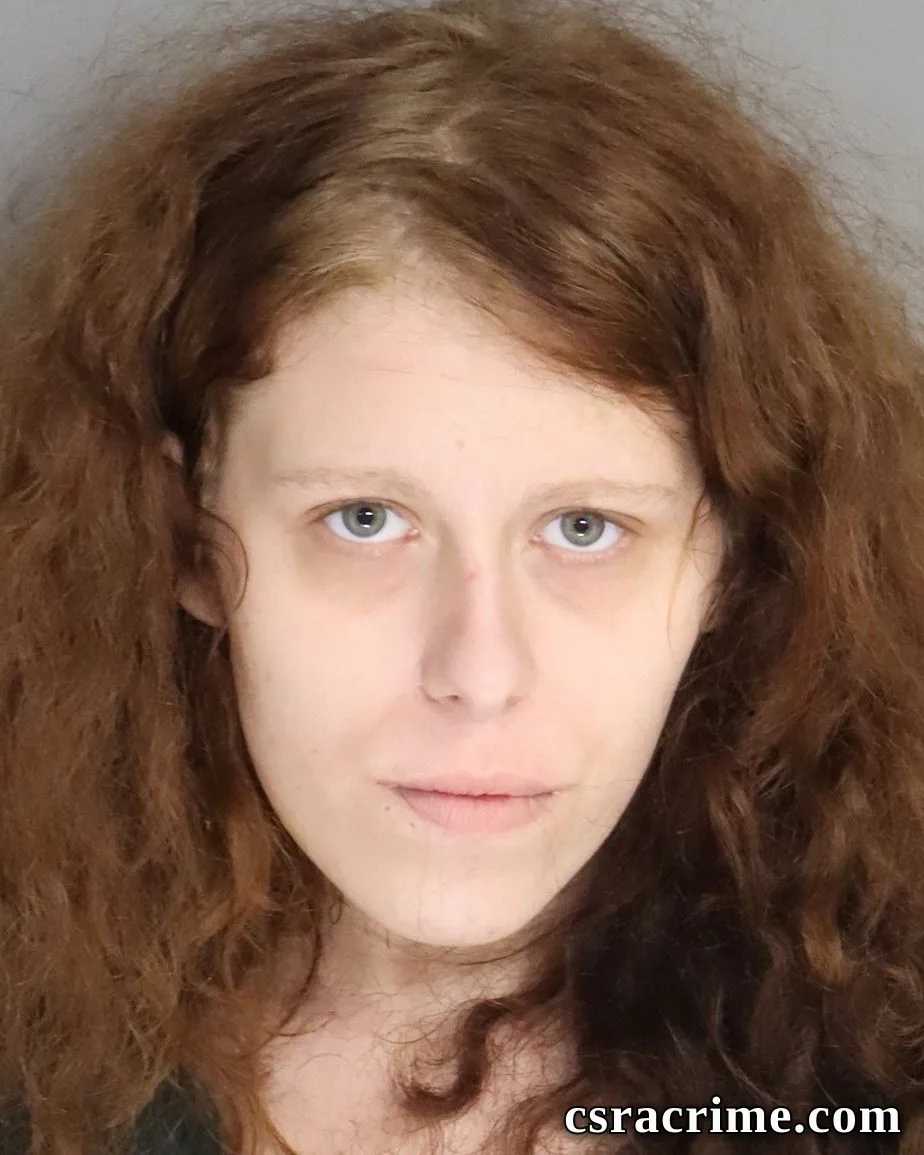 Christian Vollmer booking photo