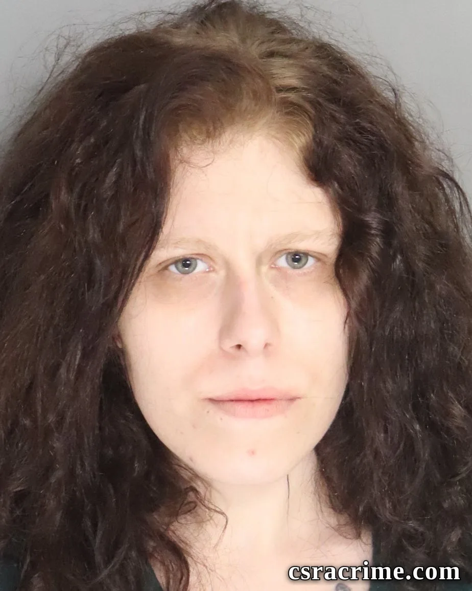 Christian Vollmer booking photo