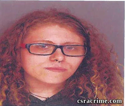 Christian Vollmer booking photo