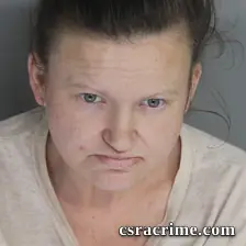 Christina Collins booking photo