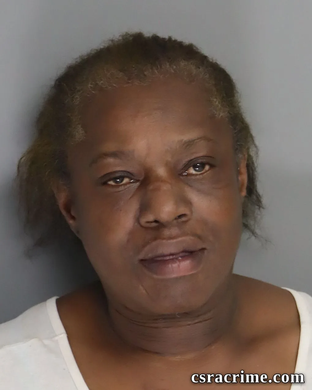 Christina Croft booking photo