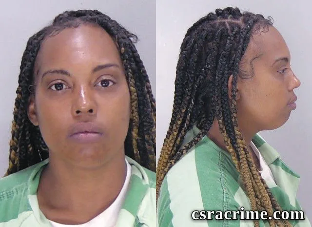 Christina Goodman booking photo
