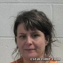 Christina Lynn Goldman booking photo
