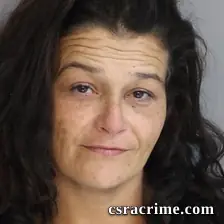 Christina Miller booking photo