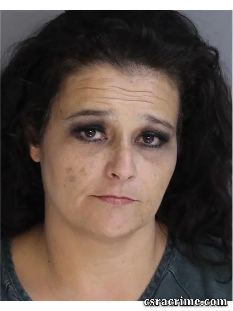 Christina Miller booking photo