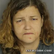Christina Rollins booking photo