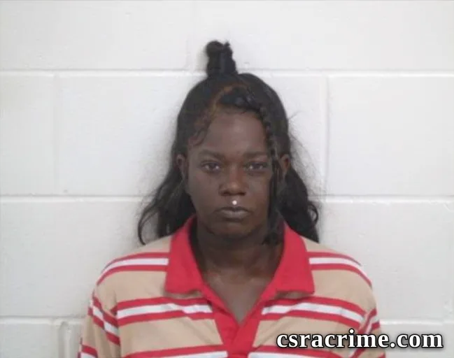 Christine C Watkins booking photo