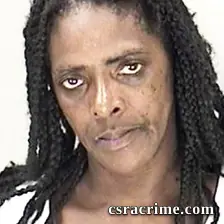 Christine Dinkins booking photo