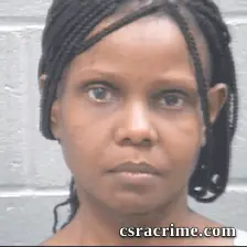 Christine Searcy booking photo