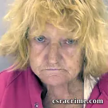 Christine Walkowitz booking photo