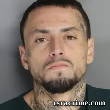 Christopher Bergman booking photo