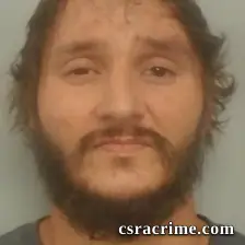 Christopher Bradley Powell booking photo
