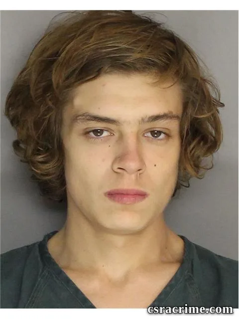 Christopher Bridges booking photo