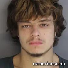 Christopher Bridges booking photo