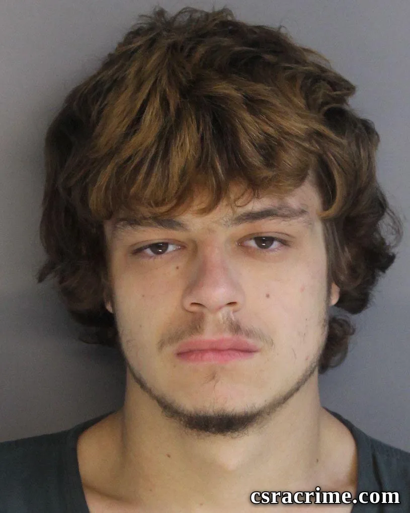 Christopher Bridges booking photo