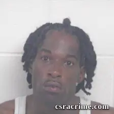 Christopher Brown booking photo