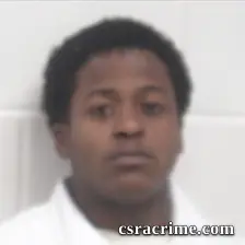 Christopher Brown booking photo