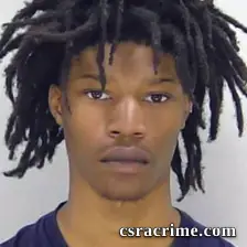 Christopher Brown booking photo
