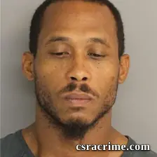 Christopher Brown booking photo