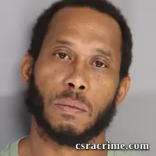 Christopher Brown booking photo