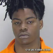 Christopher Brown booking photo