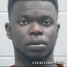 Christopher Brown booking photo