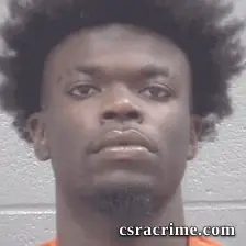 Christopher Brown booking photo