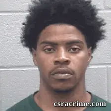 Christopher Brown booking photo
