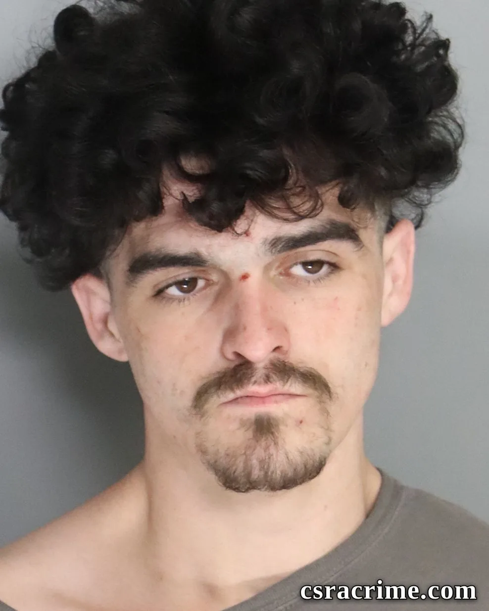 Christopher Bryer booking photo