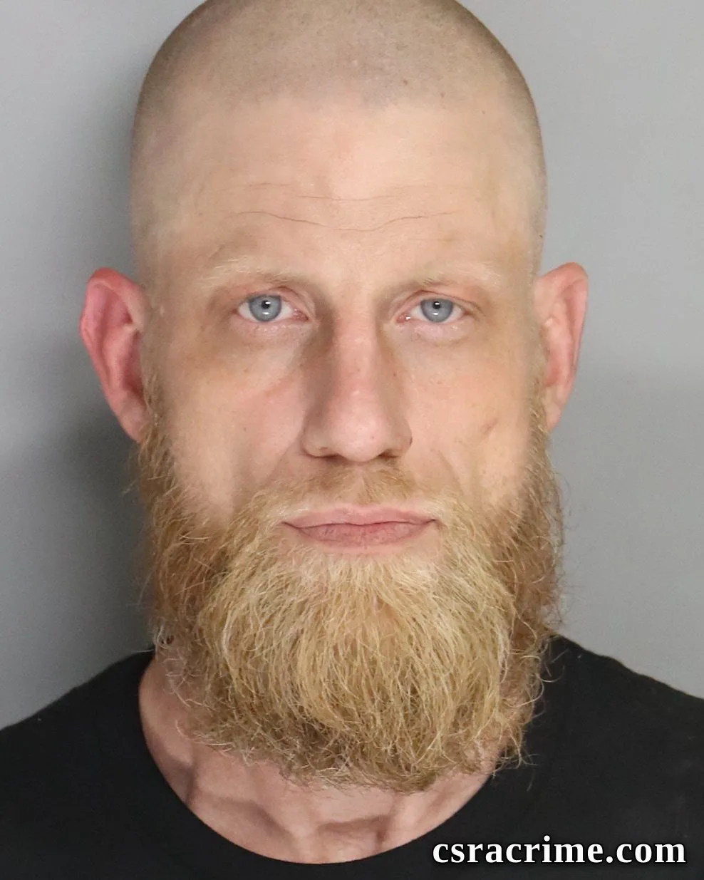 Christopher Henry booking photo