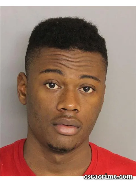 Christopher Lewis booking photo